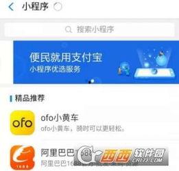 小程序爆料最新看点在哪,揭秘热点看点一网打尽