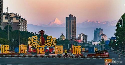 成都51最新爆料,揭秘城市热点事件背后的真相