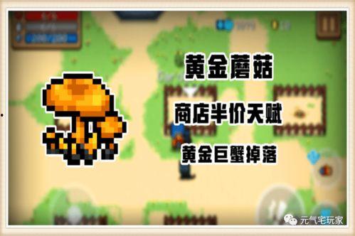 新裂行最新爆料,揭秘行业最新动态与趋势